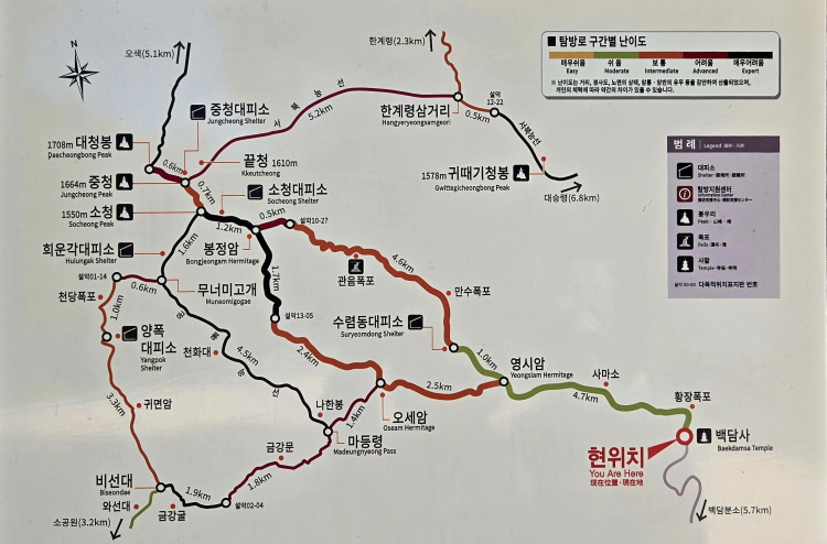 공룡1.jpg