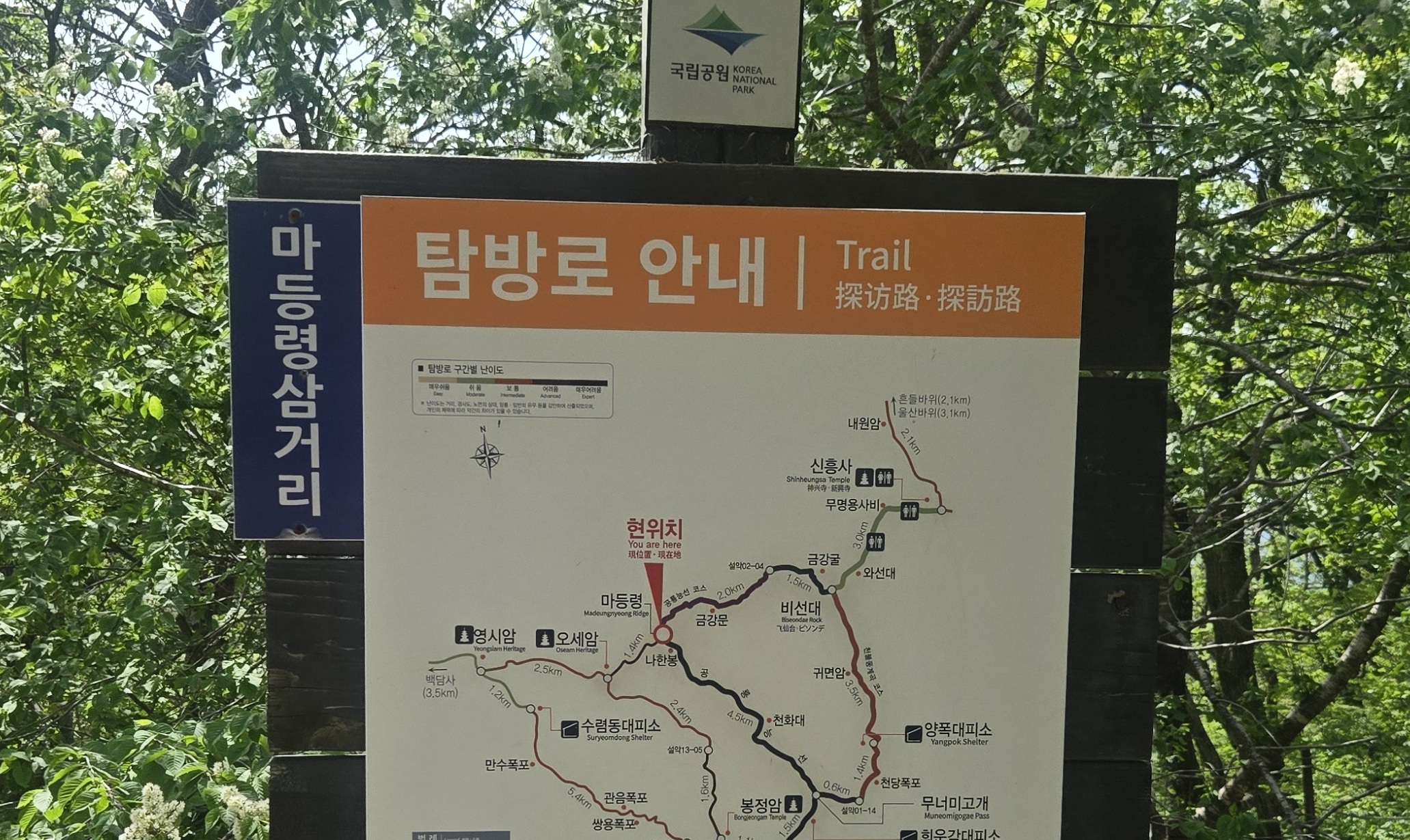 공룡15-1.jpg