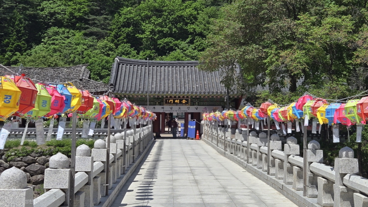 공룡1-1.jpg