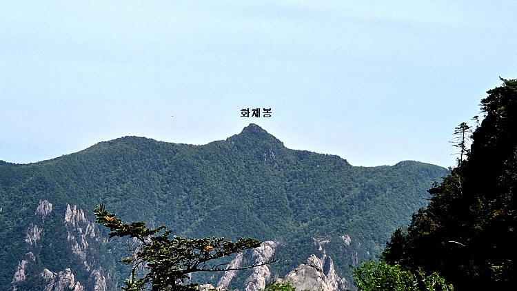 공룡12-1.jpg