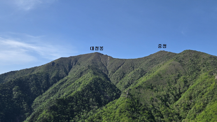 공룡12.jpg
