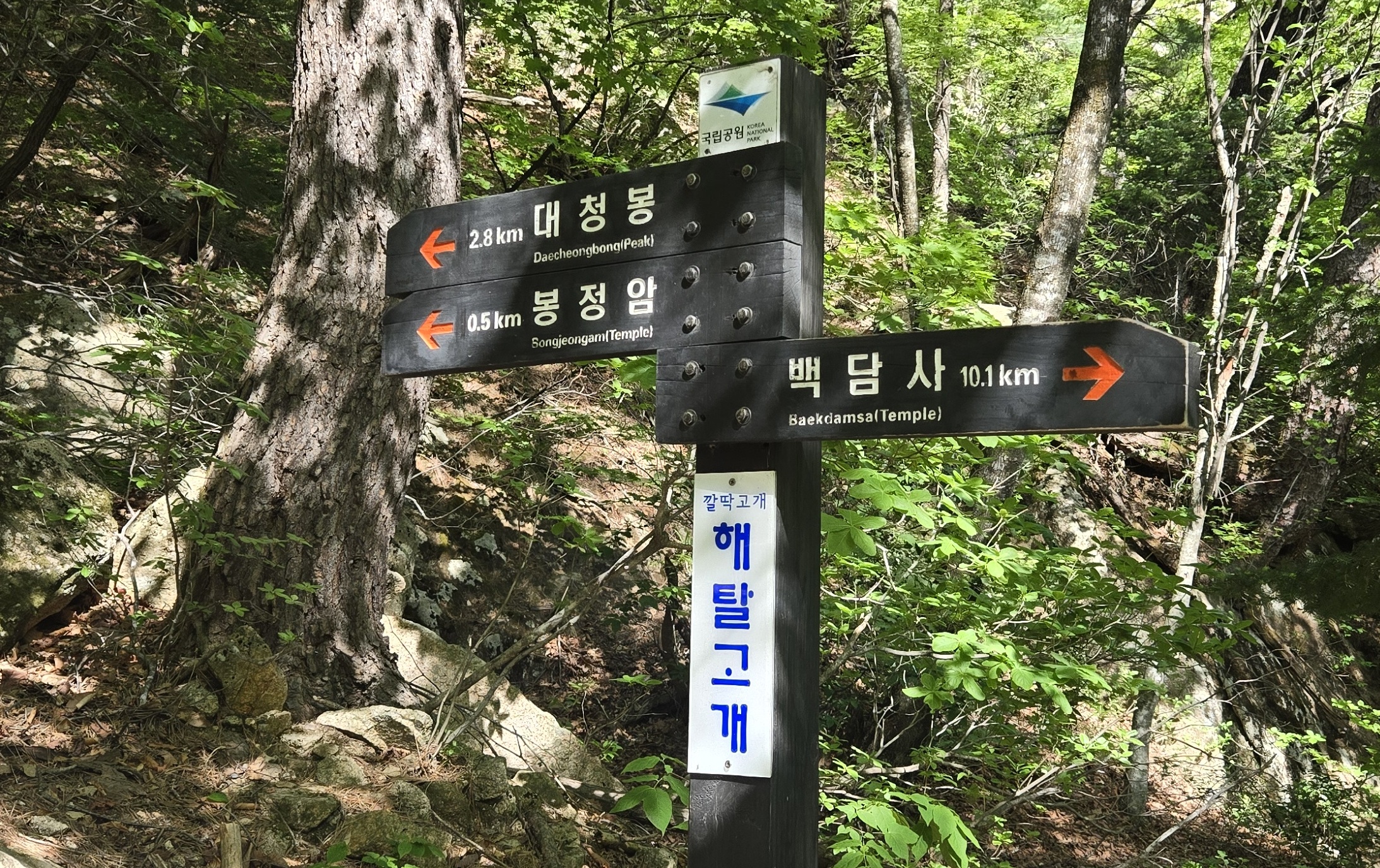 공룡3-1.jpg