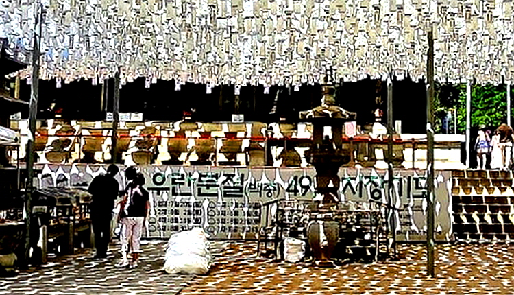 백로6-3.jpg