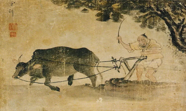 입하2.jpg
