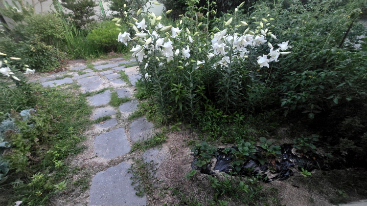 사패산2.jpg
